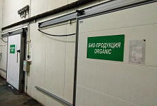 Такто, ИУП, 2019